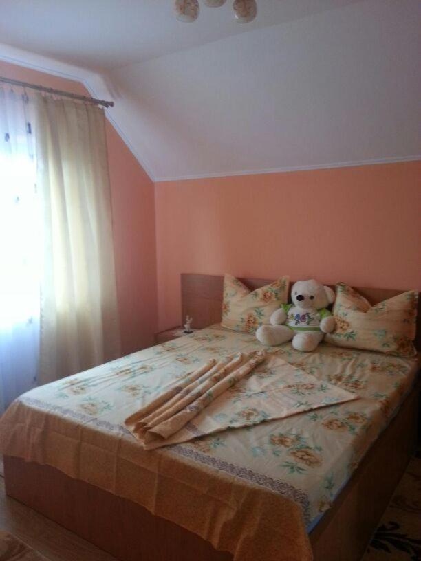 Steluta Villa Călimăneşti Exteriör bild