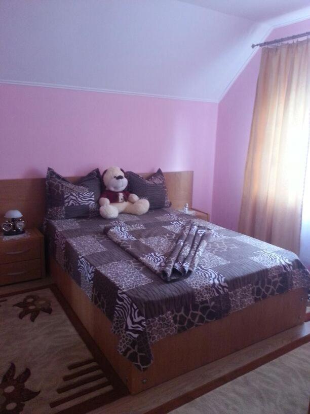 Steluta Villa Călimăneşti Exteriör bild