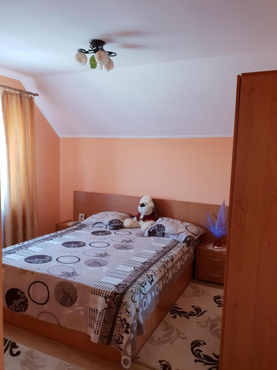 Steluta Villa Călimăneşti Rum bild